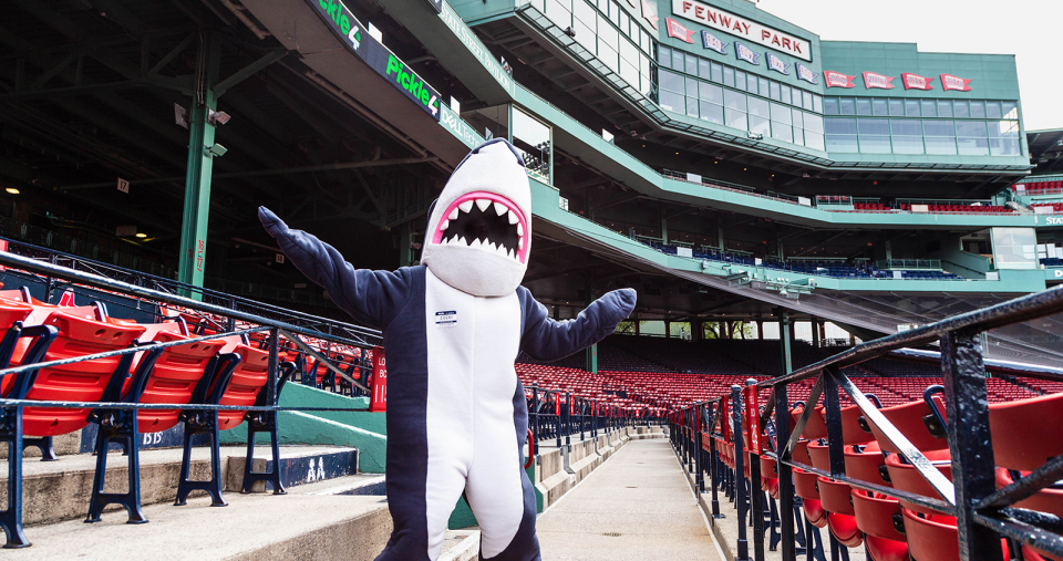 Stormy, the Simmons mascot, standing in the bleachers at Fenway Park