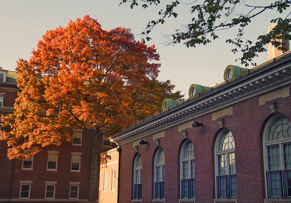 The residential campus in the fall