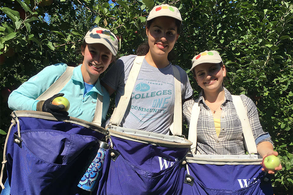 Caroline Codair '19, '22DPT, Jenna Clemenzi '19, '20MPP and Cara Stockman '19, '22DPT