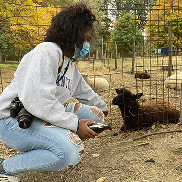 Susana Donkor petting a sheep