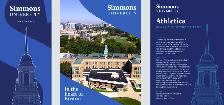 Examples of graphic elements as used on print pieces.