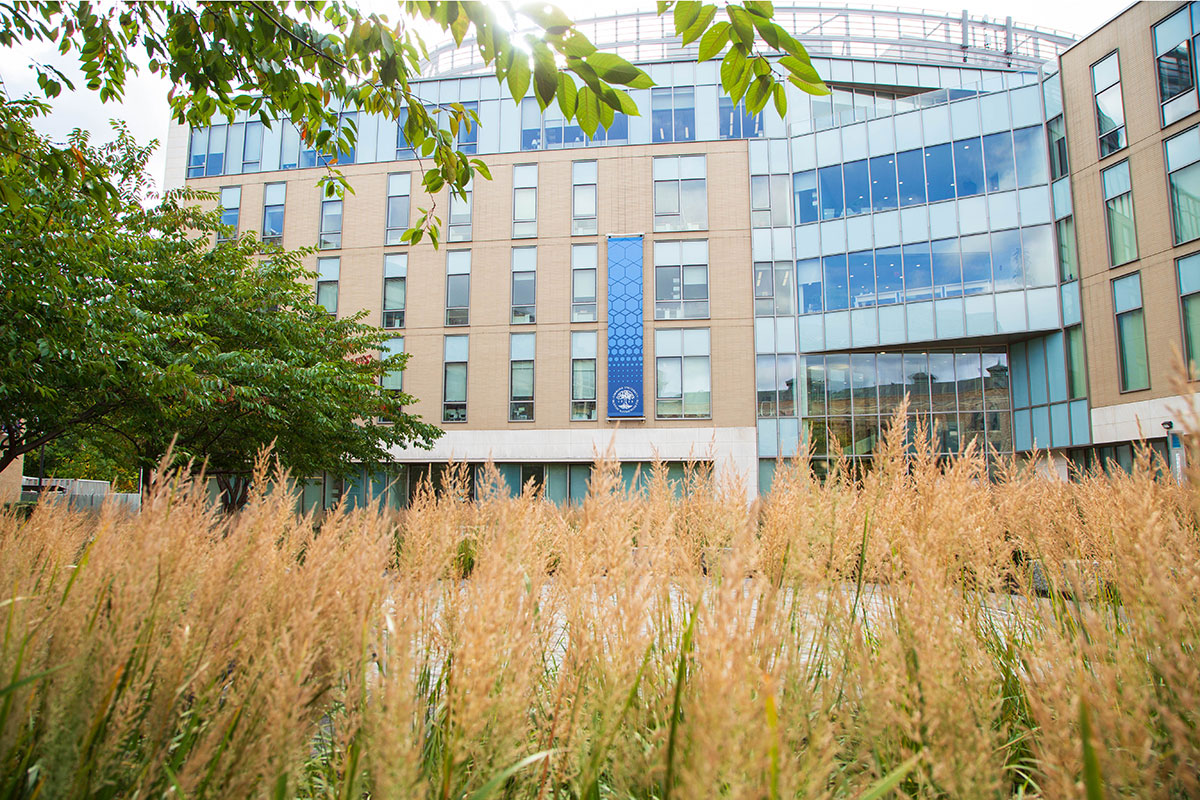 The Simmons University management building in fall