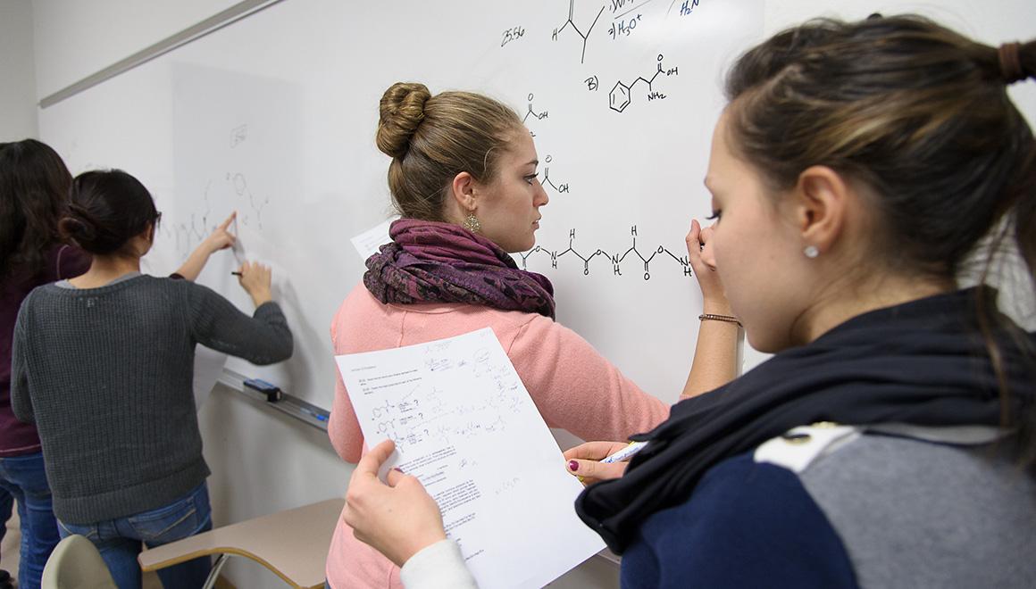 Students writing on a whiteboard