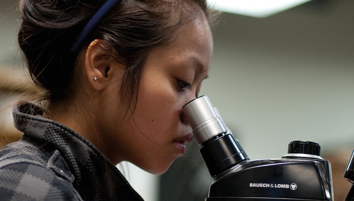 Student looking through a microscope