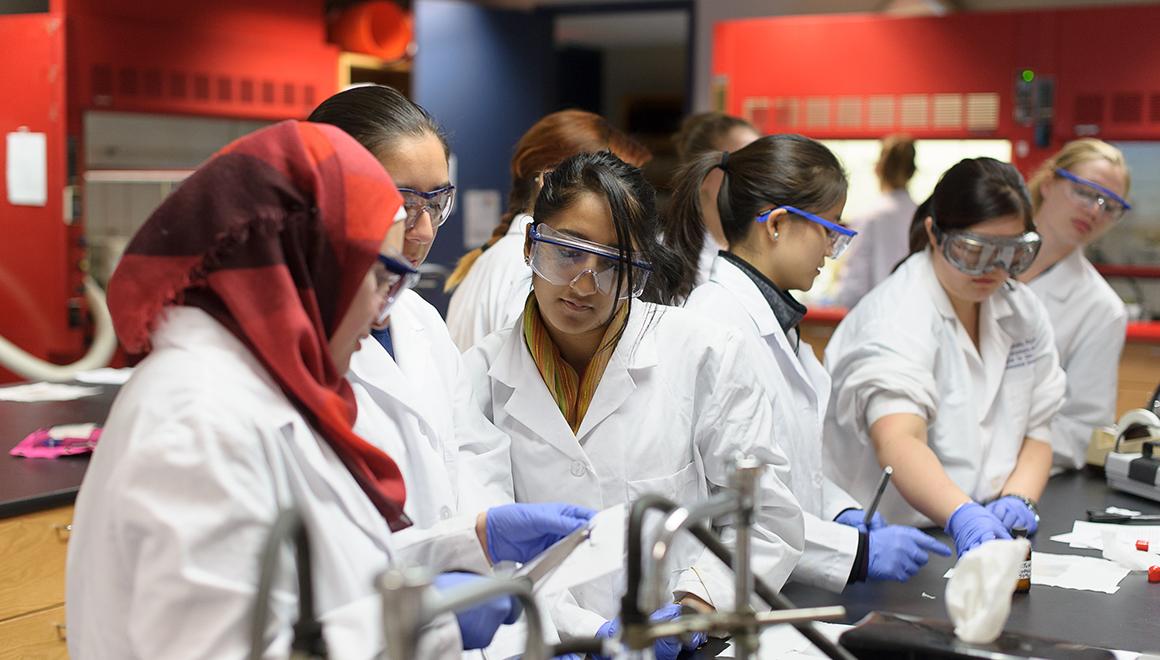 Students working in a lab