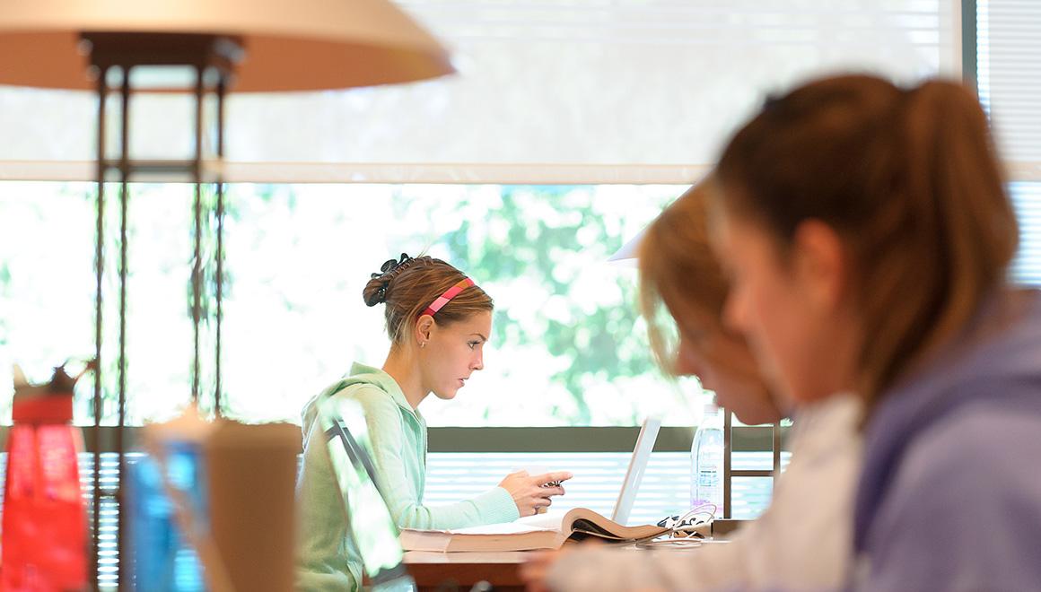 Students in the library