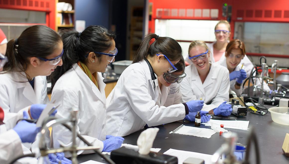 Students working in a lab