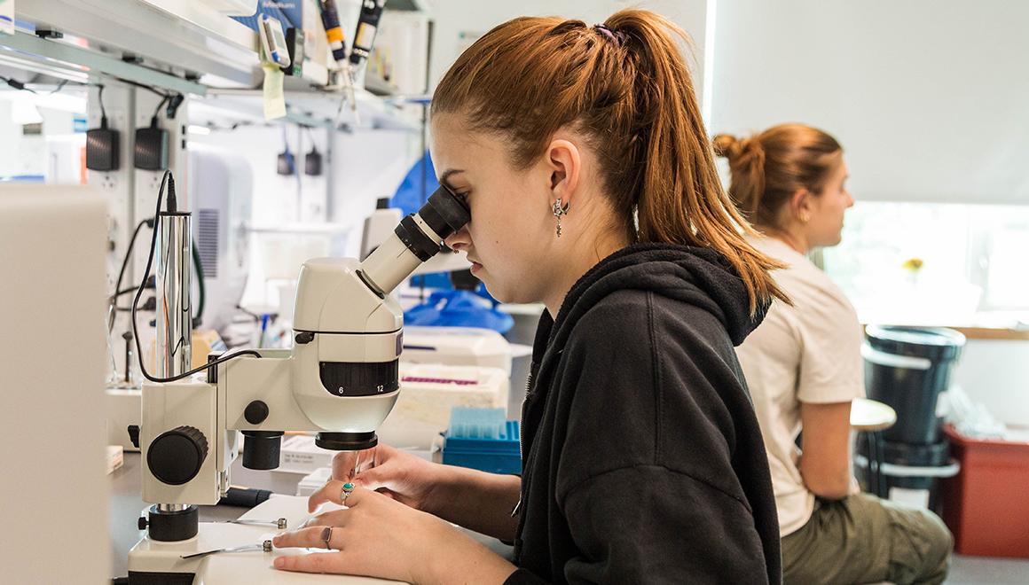 Minor in Environmental Health