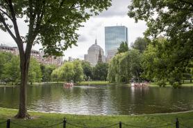 The pond in the Boston Public Garden