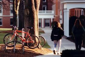 People walking and bike against a tree