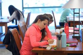 Student working at a desk