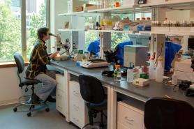 Student in lab space looking into microscope