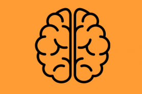 Girls Inc. Smart Life Icon - a brain