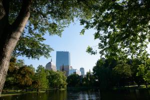 The city of Boston through the trees