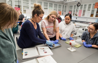 Students working with a faculty member on a dissection in the Biology lab