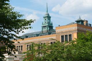 View of the cupola from the quad through trees