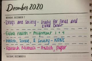 Jenny Huynh's color-coded planner
