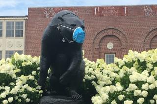 Bear statue wearing face mask. Photo courtesy of Fogler Library Special Collections & Archives.