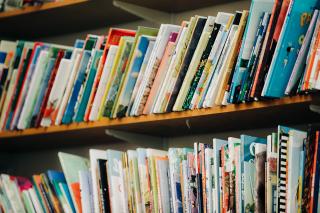 Books on a Library Shelf