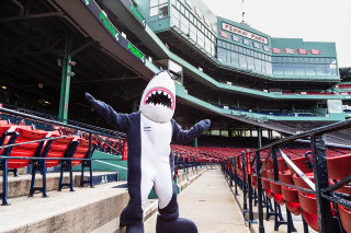 Stormy, the Simmons mascot, standing in the bleachers at Fenway Park