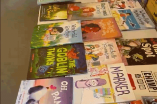 Part of the collection of 1700 books that were reviewed for the 2024 Horn Boook awards