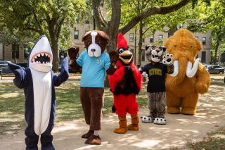 Mascots from the Colleges of the Fenway