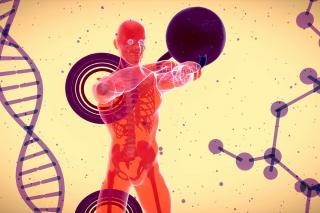 Human anatomy and physiology illustration by Julien Tromeur, courtesy of Unsplash