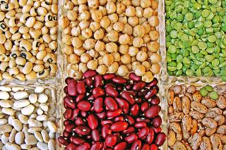 A selection of several types of legumes