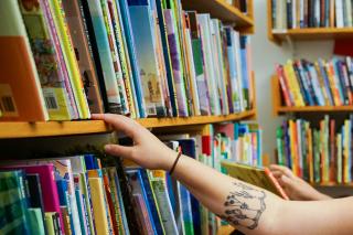 A selection of children's books on shelves. Photo by Ashley Purvis.