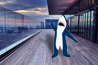 Stormy enjoying view  at the Prudential Tower