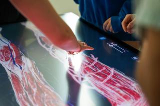A close up of a person's hand touching an image on an anatomage table