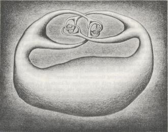 An illustration of an Alexander Horned Sphere