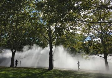 Smoke from an art exhibition in the Fens