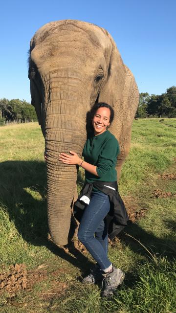 Sunnie Hodge meeting an African elephant