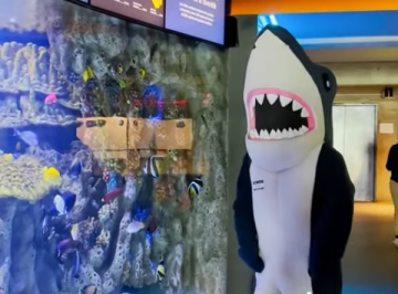 Stormy standing next to a large fish tank at the Boston Aquarium