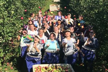 Volunteers throw apples into the air in the orchard.