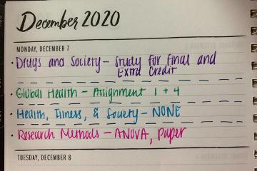 Jenny Huynh's color-coded planner