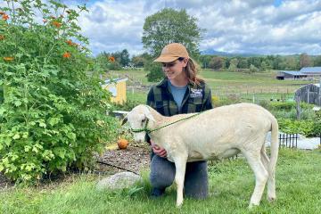 Molly Foye ’23MS poses with sheep outdoors at a farm