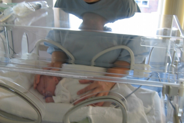 A mother holding her premature baby through the walls of an incubator