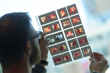 A SLIS student examining a sheet of archival photographs