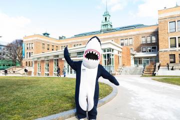 Stormy, the Simmons mascot, on the Simmons University campus