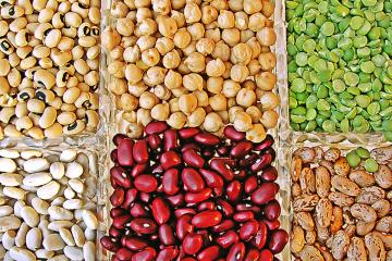 A selection of several types of legumes