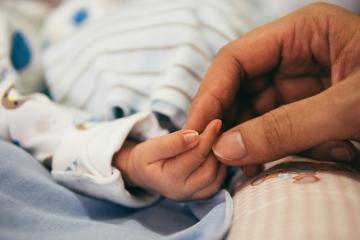 An adult hand holding the hand of a tiny baby