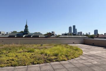 The 5th Floor Terrace in Drinan Hall with a view of the Boston skyline in the background
