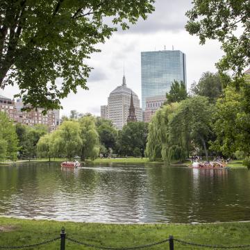 The pond in the Boston Public Garden