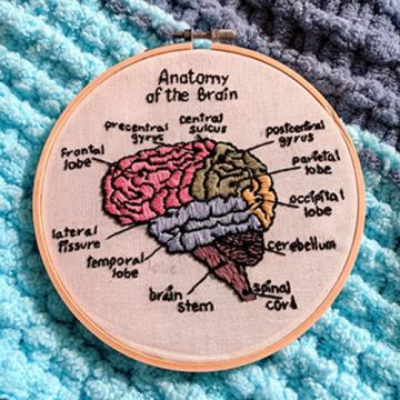 Grace Gile's embroidery "Anatomy of a Brain"