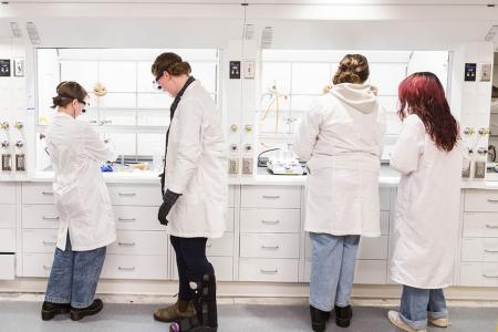 Four students working in lab