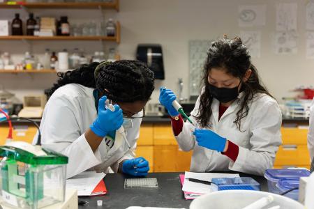 Students working on experiment