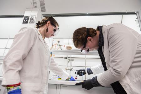 Students working in lab