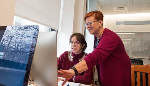 A Library and Information Science faculty member working with a student